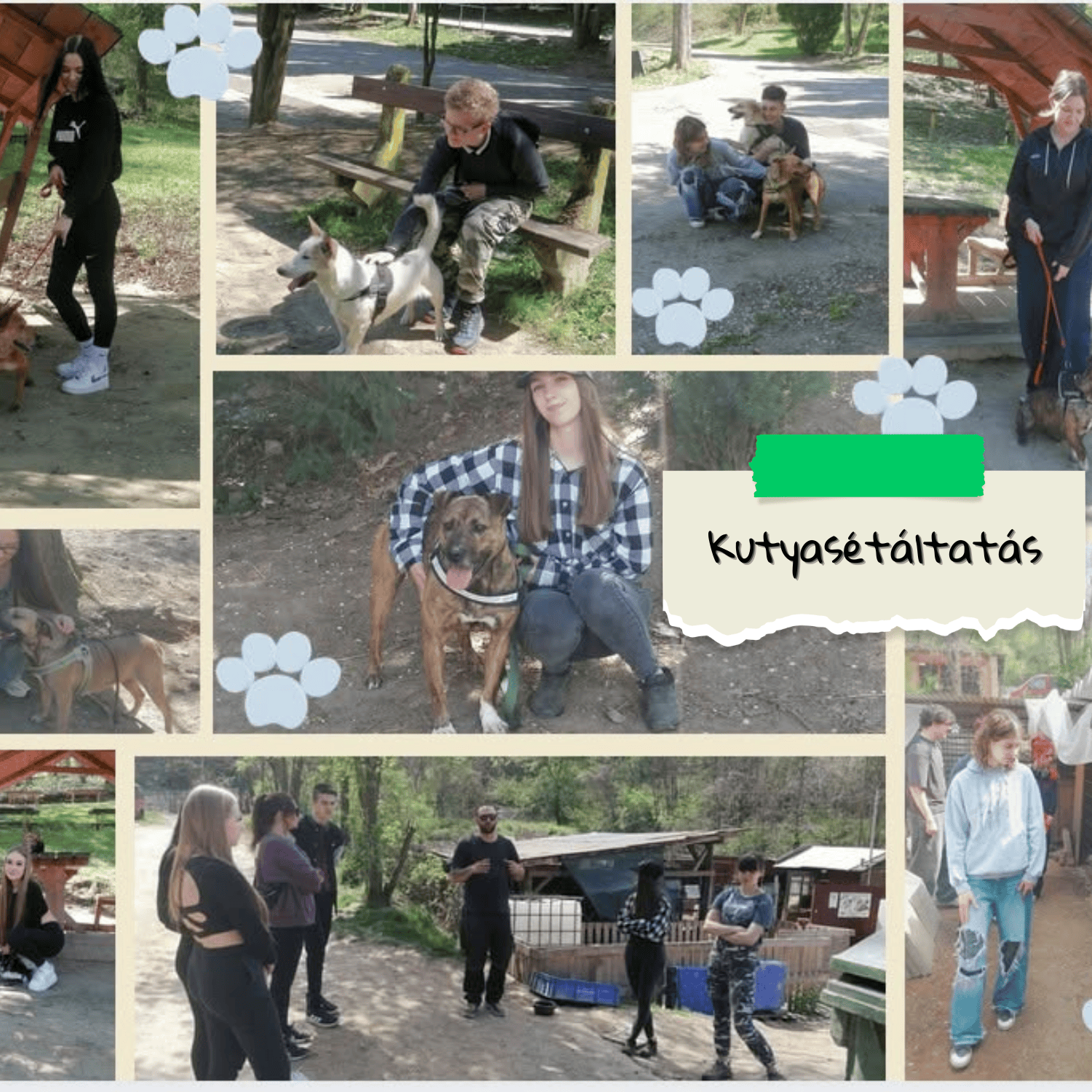 KutyaSetaltatas.png