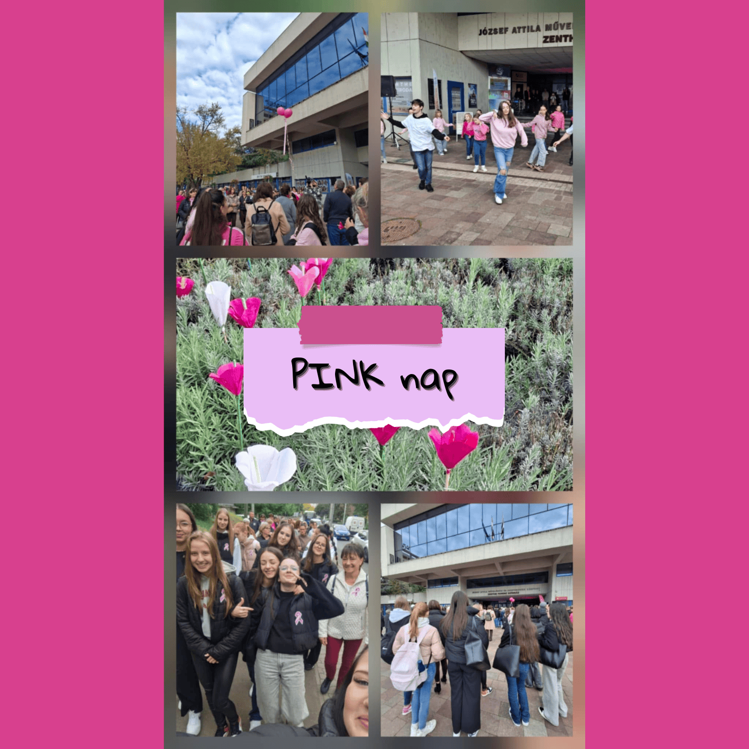 PINKnap.png